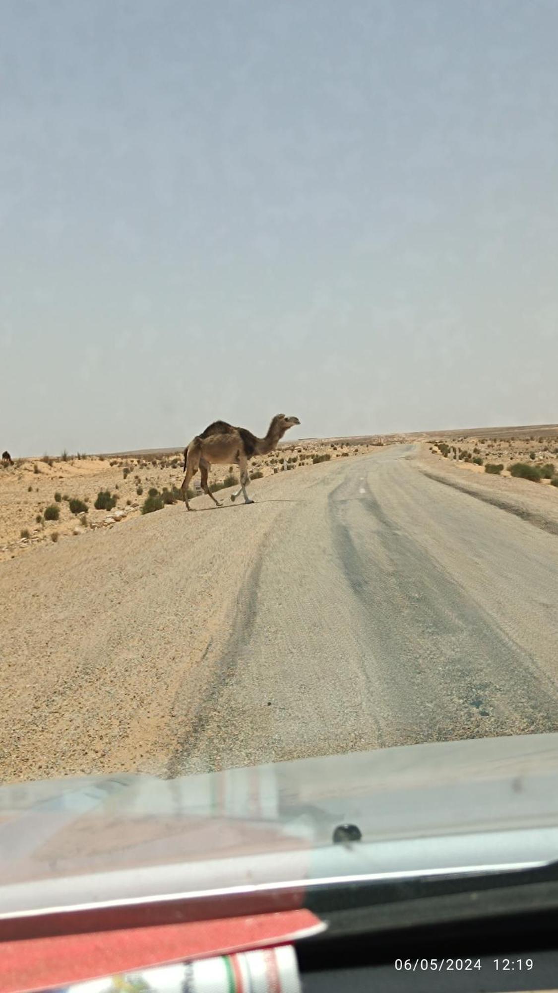 Dar Lagune Djerba Vue De Mer Al Haddadah Bagian luar foto