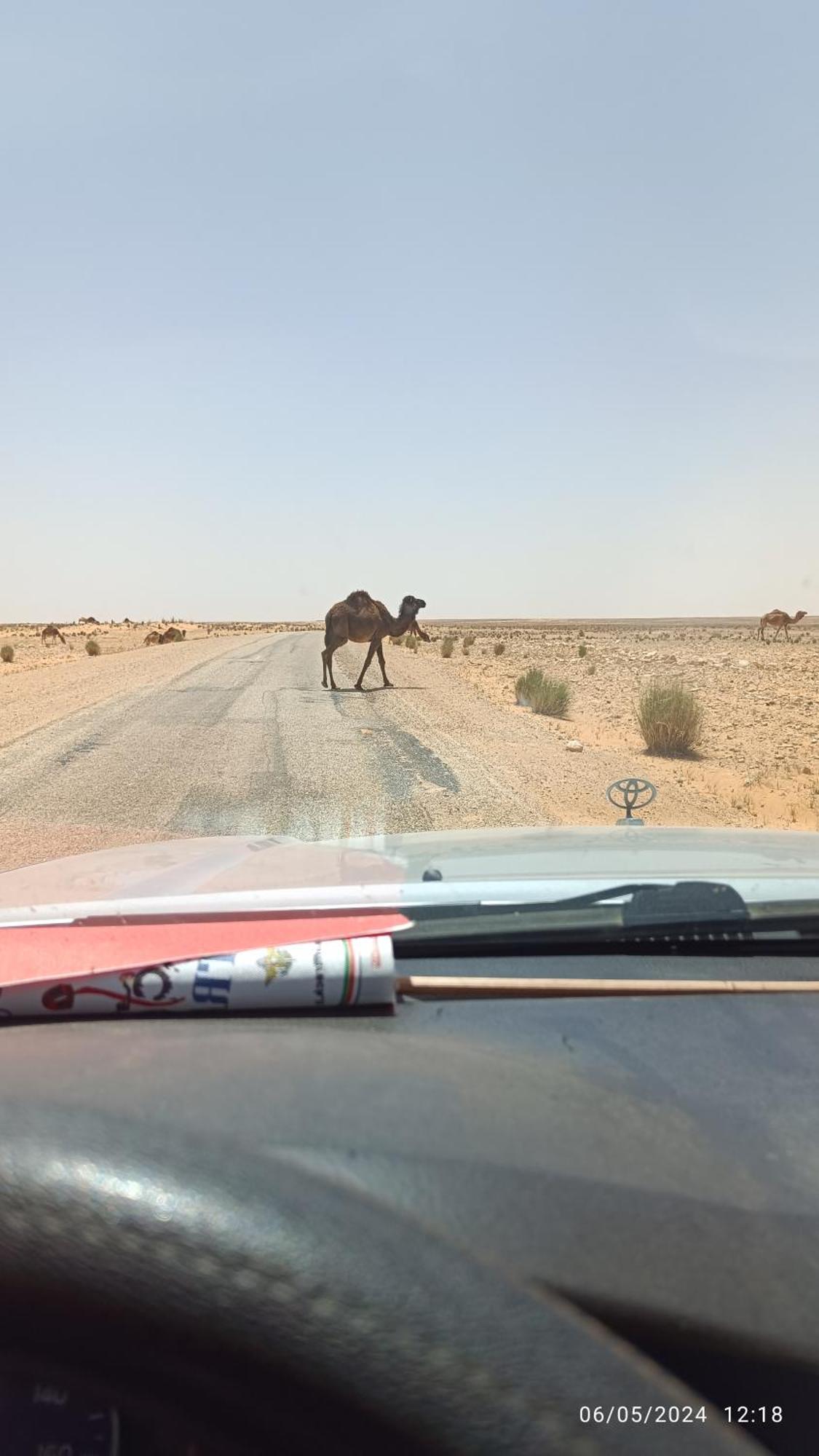 Dar Lagune Djerba Vue De Mer Al Haddadah Bagian luar foto