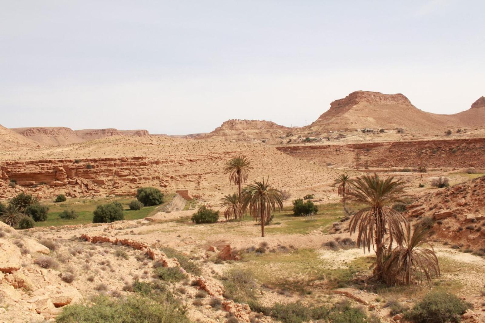 Dar Lagune Djerba Vue De Mer Al Haddadah Bagian luar foto