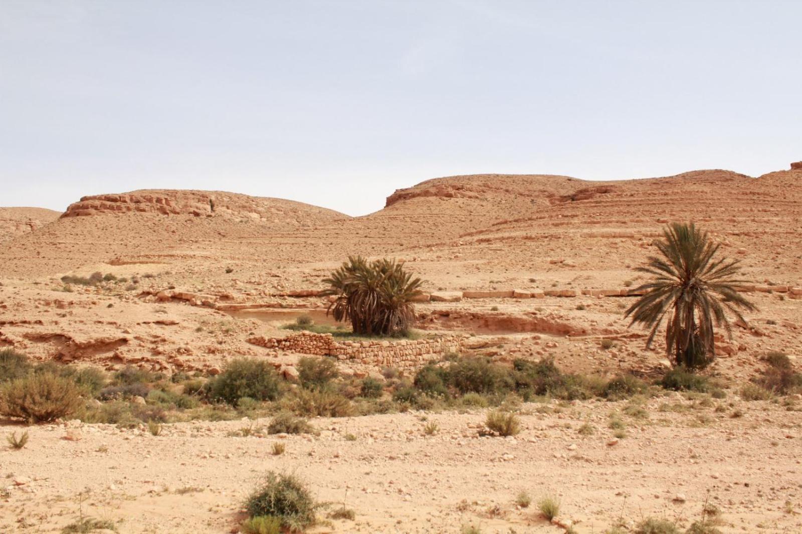 Dar Lagune Djerba Vue De Mer Al Haddadah Bagian luar foto