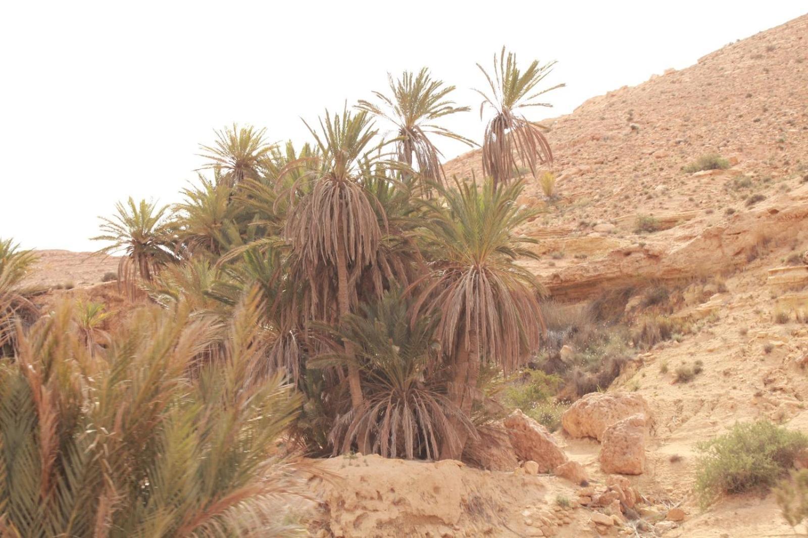 Dar Lagune Djerba Vue De Mer Al Haddadah Bagian luar foto